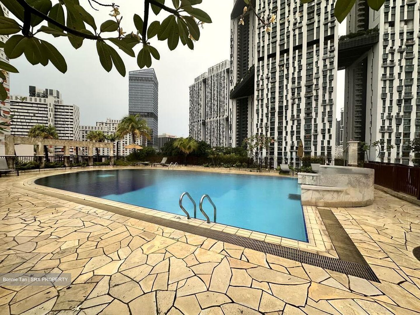 Craig Place (D2), Apartment #453365981